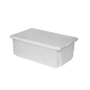 Organizador de Plast. C/tampa Orgs950c/t