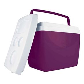 Caixa Termica 34lts Berinjela 4472 Caixa Termica 34lts Berinjela 4472