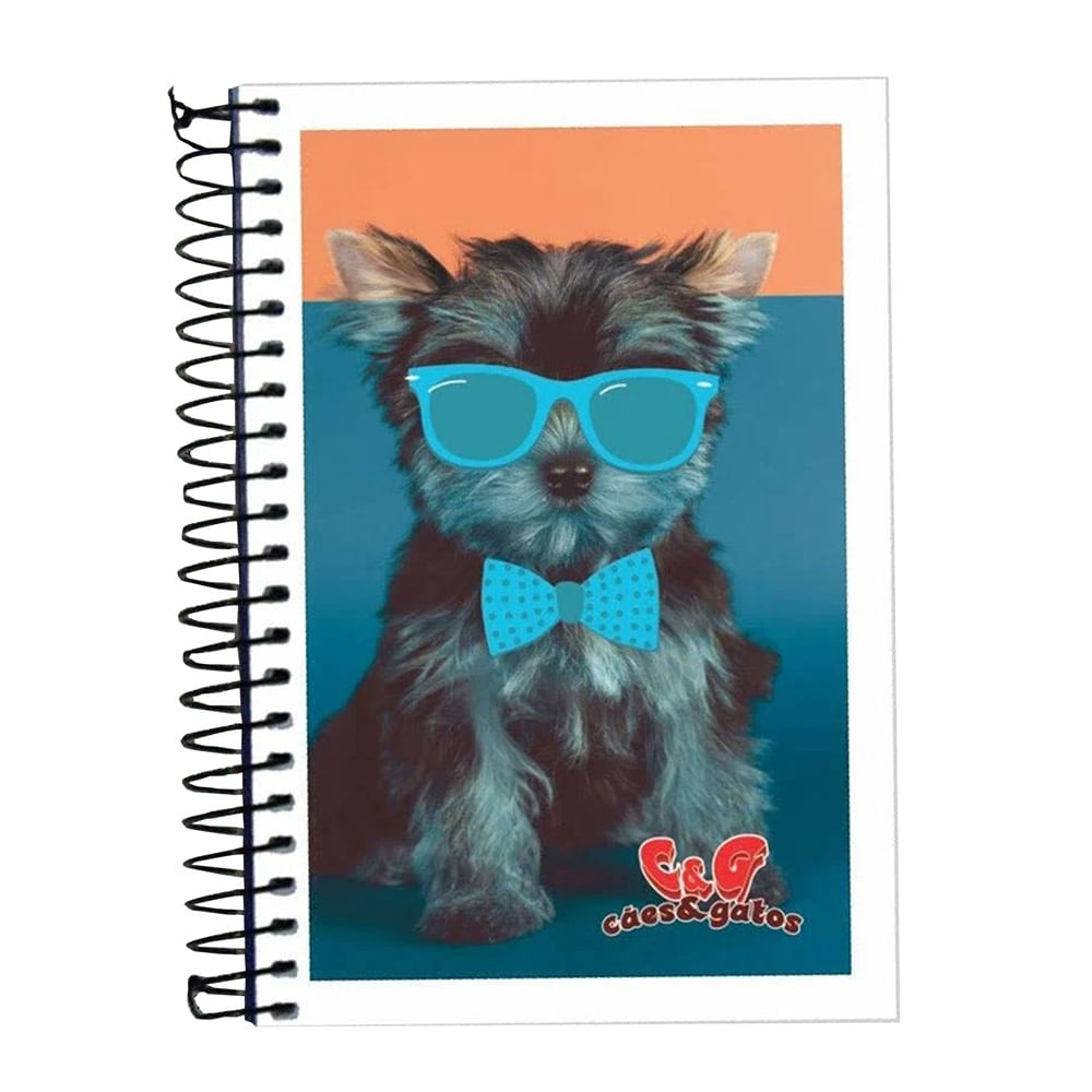 Caderno Espiral 1/4 96fls 3026